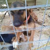 Thumbnail photo of The girl Jiva #2