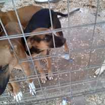 Thumbnail photo of The girl Jiva #3