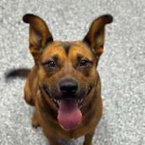 Thumbnail photo of Penelope #1