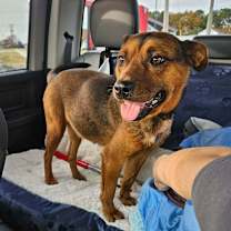 Thumbnail photo of Penelope #2