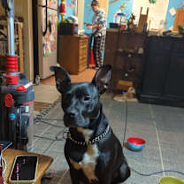 Thumbnail photo of Ditto #3