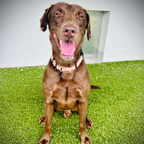 Thumbnail photo of Arcus #4