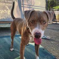 Thumbnail photo of Sammie* #2