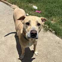 Thumbnail photo of Chance #1