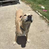 Thumbnail photo of Chance #2