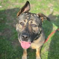 Thumbnail photo of Big Bertha #1