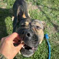 Thumbnail photo of Big Bertha #2