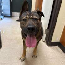 Thumbnail photo of Big Bertha #3