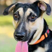 Thumbnail photo of Owen Wilson #2