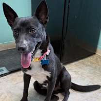 Thumbnail photo of Nymera #2