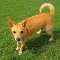 Thumbnail photo of Rainey #3