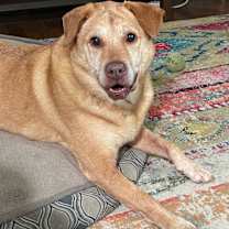 Thumbnail photo of Reba #2