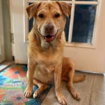 Thumbnail photo of Reba #3