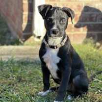 Thumbnail photo of Kaleb #4