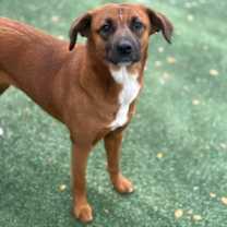 Thumbnail photo of Rosie Kay #2