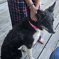 Thumbnail photo of WeeBo #2