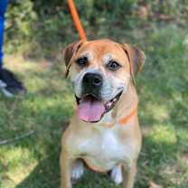 Thumbnail photo of HOLLY #1