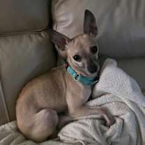 Thumbnail photo of Rocket #1