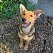 Thumbnail photo of Molly #1