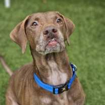 Thumbnail photo of Molly #1