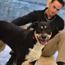 Thumbnail photo of Scooter #4