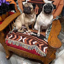 Thumbnail photo of Nancy of Sid & Nancy #1