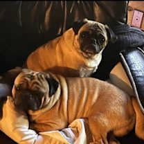 Thumbnail photo of Nancy of Sid & Nancy #2