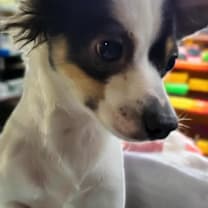 Thumbnail photo of Keisha #2