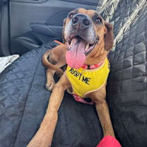 Thumbnail photo of Muffaletta #3