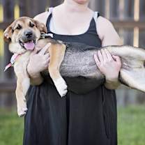 Thumbnail photo of Lorelai #3