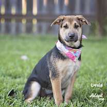 Thumbnail photo of Lorelai #2