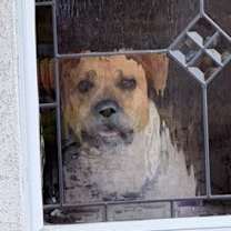 Thumbnail photo of Mitzvah #2