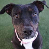 Thumbnail photo of Bagel #1