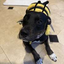 Thumbnail photo of Bagel #2