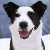 Thumbnail photo of Tipperary #2