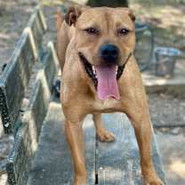 Thumbnail photo of Willie #3