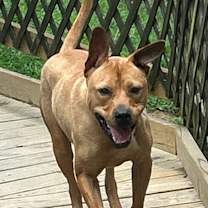 Thumbnail photo of Willie #4