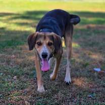 Thumbnail photo of Jack #3