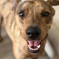 Thumbnail photo of Zuko III (New Digs) #3