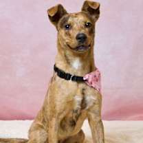 Thumbnail photo of Zuko III (New Digs) #4