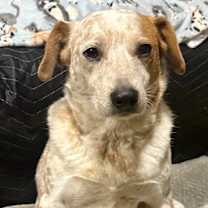 Thumbnail photo of Bobbi #4