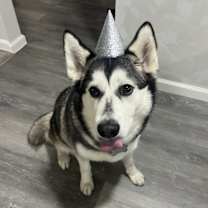 Thumbnail photo of Mila #1