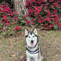 Thumbnail photo of Mila #2