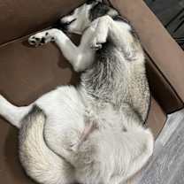 Thumbnail photo of Mila #3