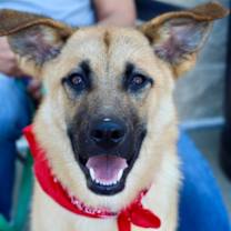 Thumbnail photo of Mikey #4