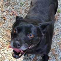 Thumbnail photo of BOBBIN #1