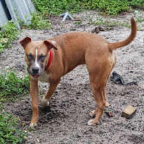 Thumbnail photo of Nami #4