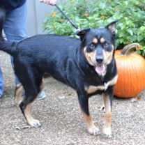 Thumbnail photo of Molly #3