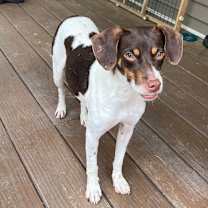 Thumbnail photo of Matilda #1