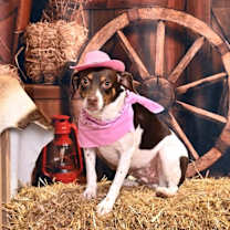 Thumbnail photo of Matilda #2